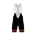 Juneteenth 1865 - CORE Bibs
