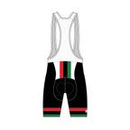 Juneteenth 1865 - CORE Bibs